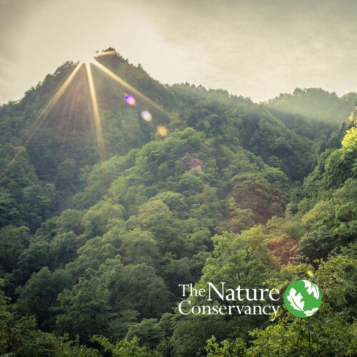 The Nature Conservancy